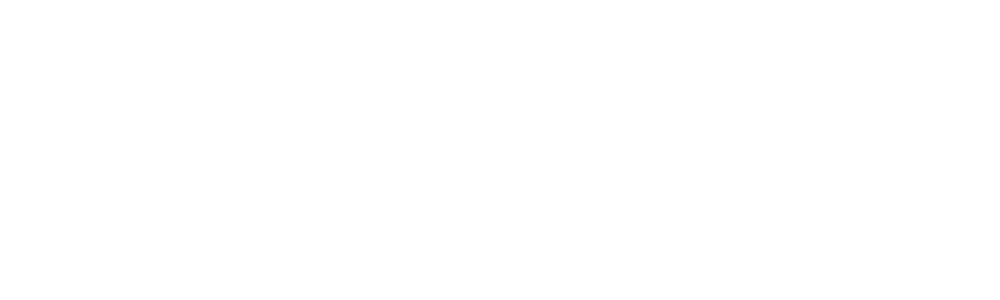 websupport